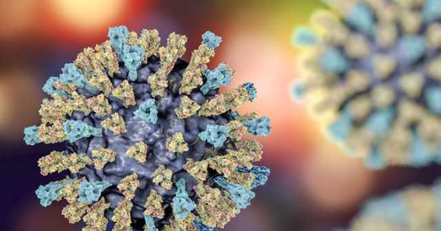 Эпидемиолог считает, что от вируса кори в Украине пострадает значительная часть населения