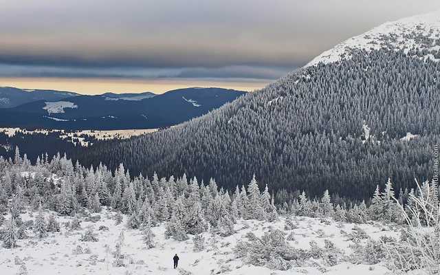 Спасенного в Карпатах немца доставили в Рахов