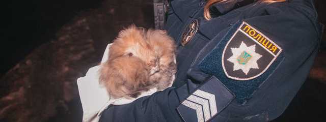 В Киеве на Троещине сгорела квартира: пожарные спасли домашнего кролика