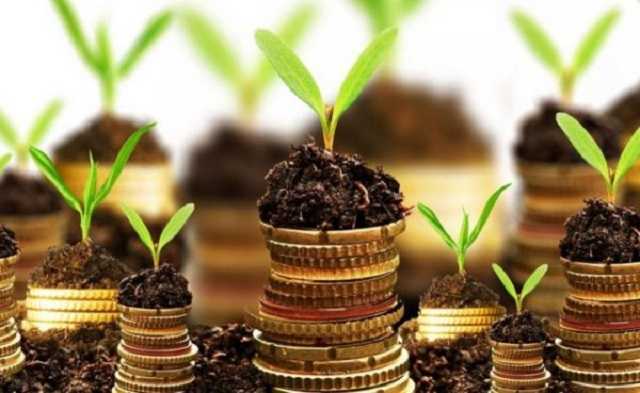 Президент продлил мораторий на землю до 2020 года