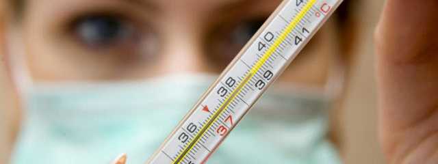 Эпидемия гриппа в Украине: за первую неделю февраля умерли два человека