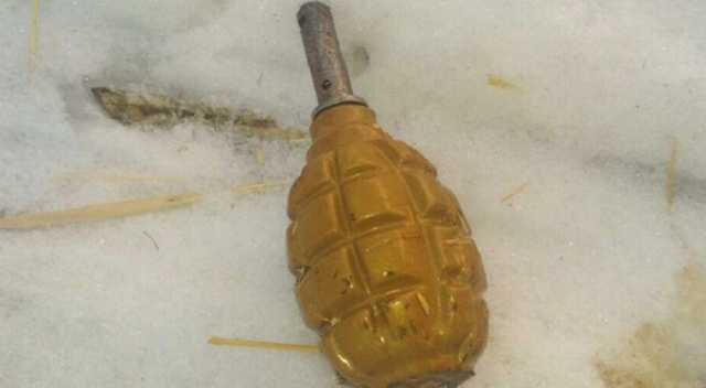 В Киеве пьяный мужчина с гранатой грозился взорвать квартиру