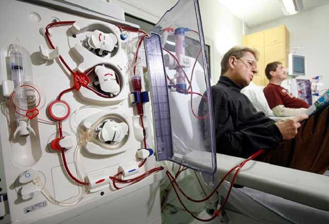 Братья Фистали снова ударили по почкам