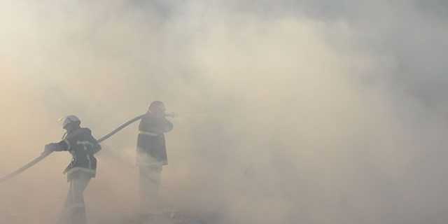 В Чернобыльской зоне загорелся лес