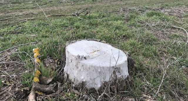 В окупованому Криму почалася нова катастрофа