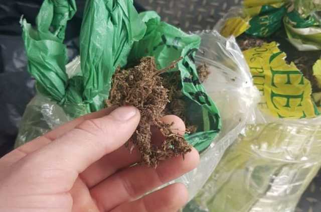 На КПП Станица Луганская пограничники задержали «глухонемого» наркоперевозчика