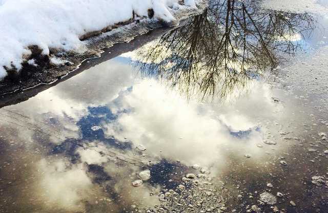 Синоптики рассказали украинцам, какой будет погода в последний зимний день