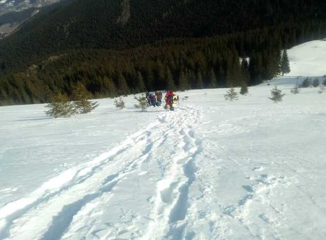 Спасатели нашли живыми заблудившихся на Говерле туристов: пару госпитализировали