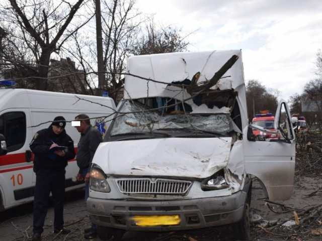В Николаеве на маршрутку с детьми рухнуло дерево, есть пострадавшие