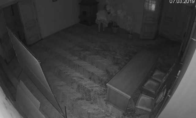 Во Львове стоматолог сходила в туалет в графин со стола президиума горсовета