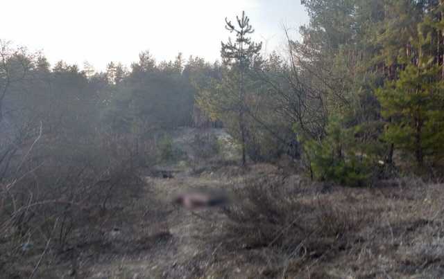 Убийство военного под Харьковом: стали известны новые подробности