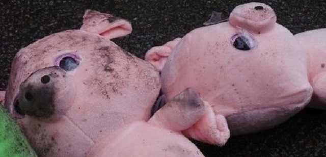 Михаил Подоляк: “Свиные хот-доги”