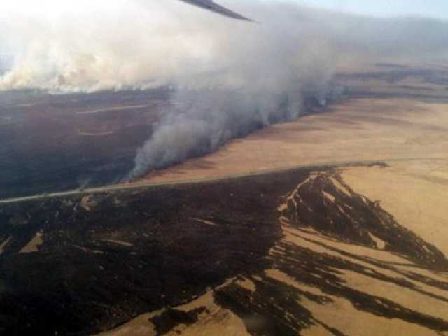 Пылают 30 гектаров: под Одессой снова масштабный пожар