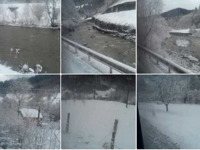 На Закарпатье рейсовый автобус съехал в кювет