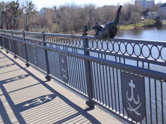 В Виннице с Киевского моста похитили бронзовую скульптуру кота