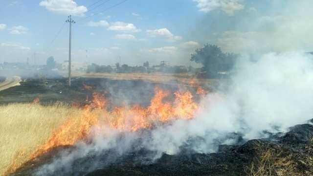 Под Черниговом пенсионер сгорел на поле заживо, выжигая кукурузу