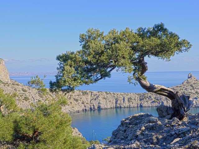 Медведев поручил подсчитать «ущерб Крыма» от властей Украины за 25 лет