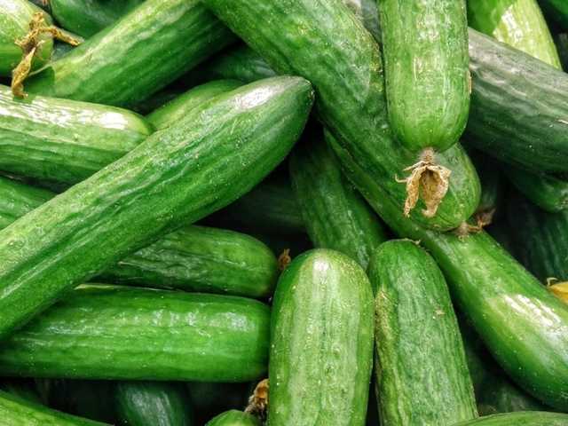 В Украине в этом году на 30% подорожали свежие огурцы – эксперт