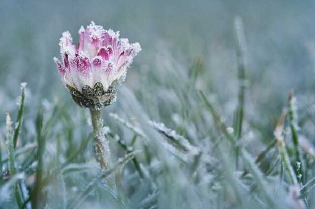 От заморозков до +18: синоптики дали прогноз на начало недели
