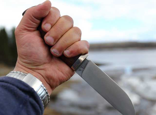 В Киеве на Печерске парень напал с ножом на мать и бабушку