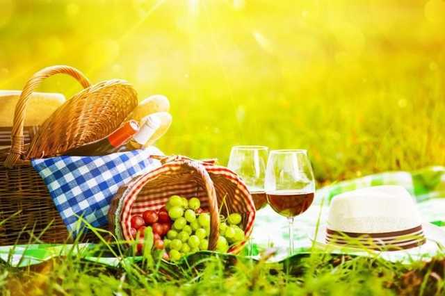 Как безопасно провести майские на природе: советы Минздрава