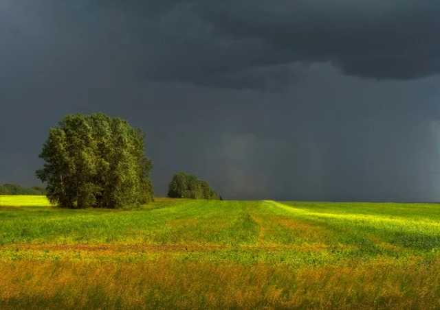 Циклон Valentin накрыл Украину: в стране объявлено штормовое предупреждение