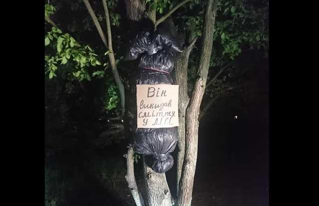 Новомосковские активисты развешивают на деревьях «трупы» тех, кто сорит в лесу