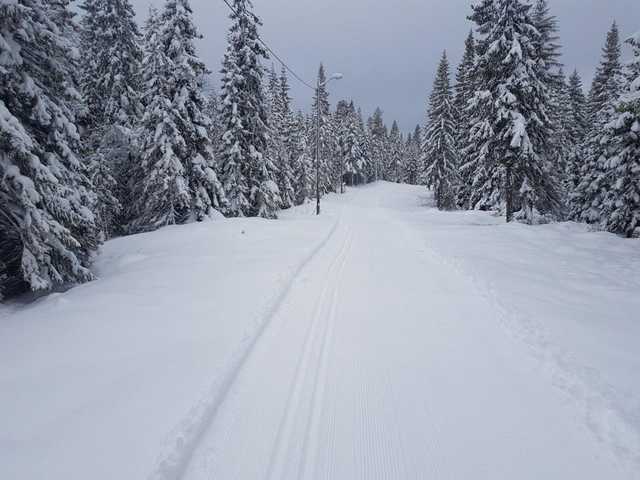 Карпаты засыпало снегом
