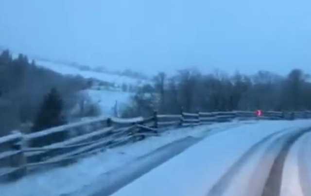 Карпаты в мае засыпает снегом