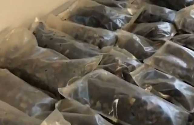 Журналистов на Волыни избили таможенники, дело расследует ГБР