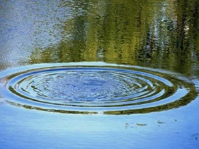 Под Одессой ребенок утонул в бассейне для орошения: детали трагедии