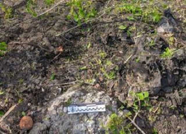 В Харьковской области прогремел взрыв, есть жертвы