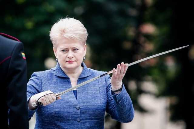 Грібаускайте закликала Зеленського "розчавити" олігархічну систему