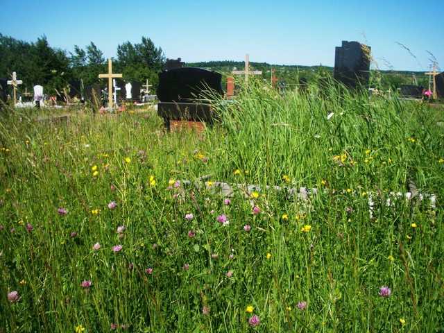 На Черкащині поглумилися над могилою відомого вченого