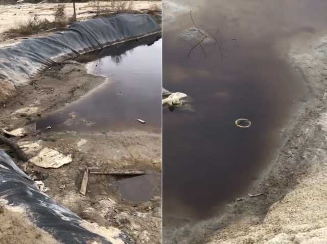 Компания «Укргаздобыча» устроила экологический геноцид на Полтавщине: ужасающие фото