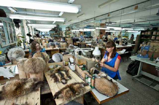 Комітет Ради не підтримає законопроект щодо заборони виробництва хутра в Україні