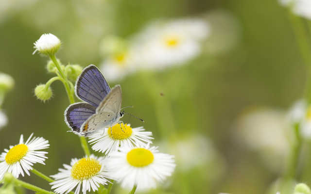 Синоптик рассказала о погоде в Украине в последний день весны