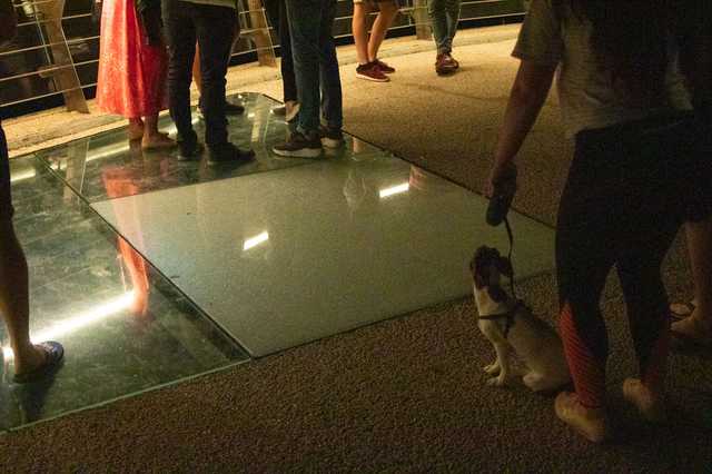 В Киеве на пешеходно-велосипедном мосту Кличко разбилось еще одно стекло