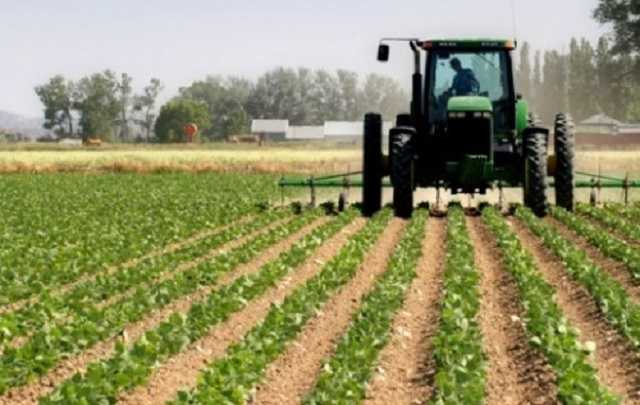 Щороку зменшується кількість людей, які хочуть обробляти земельні ділянки, – нардеп