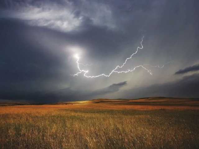 В Ровенской области молния убила пенсионера и его коня