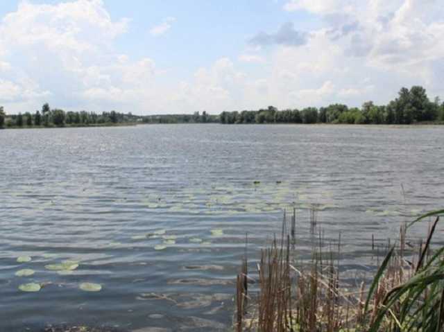 В реку Рось попали ядовитые вещества: что об этом известно