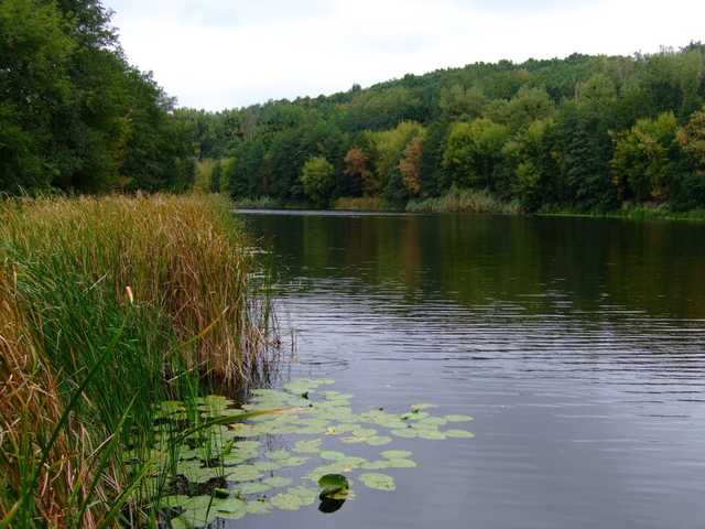 Экологи назвали главную опасность загрязнения реки Рось химикатами