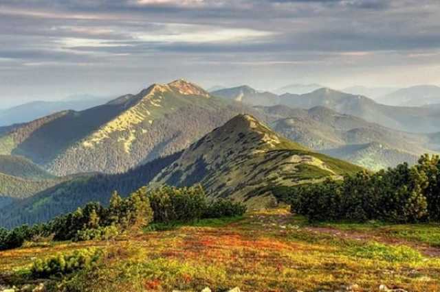 В Карпатах потерялась туристка из Киева: ищут третий день