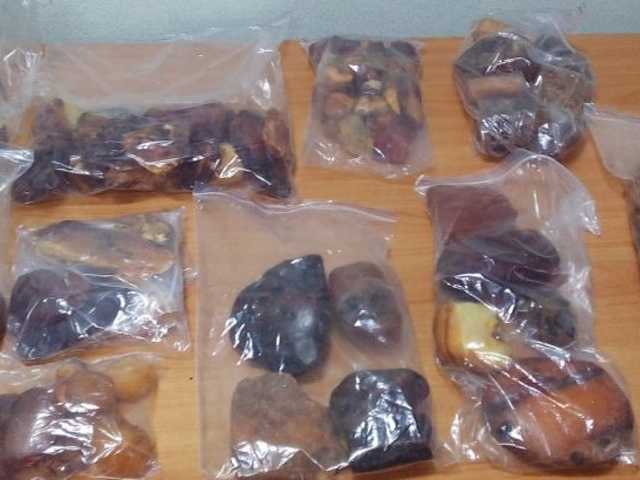 Пограничники изъяли 7 килограммов янтаря на границе с Беларусью