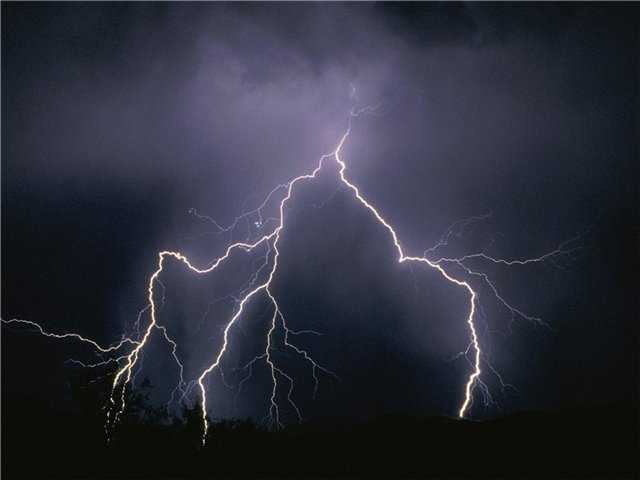 На Ивано-Франковщине молния на месте убила троих: новые детали