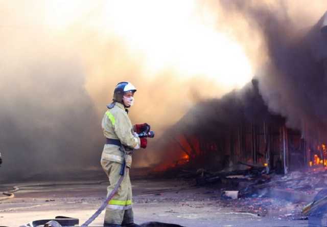 Фашик Донецкий: Горіла сосна, палала. О пожаре в Енакиево