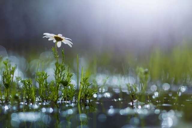 В понедельник в Украине в большинстве регионов пройдут дожди