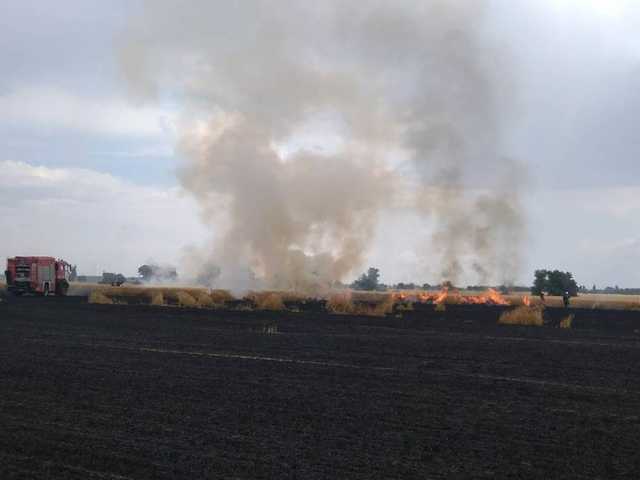 Сгорело почти 5 гектаров: в Херсонской области горели пшеничные поля