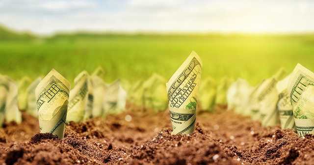 Эксперты посчитали, сколько Украина теряет из-за моратория на продажу земли