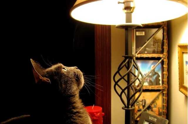 "Ночной тариф" на электроэнергию отменят? В Нацкомиссии сделали заявление